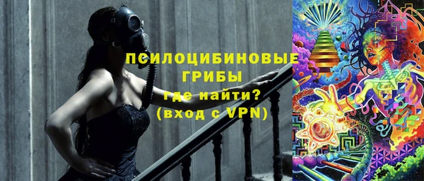 первитин Ельня